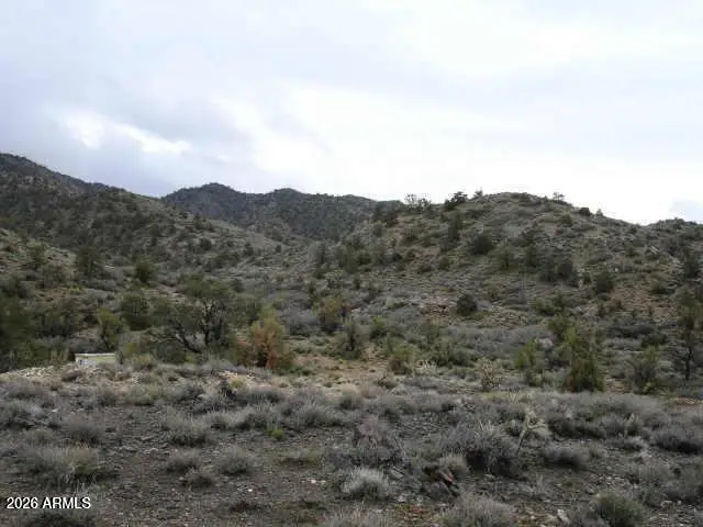 10XXX E Perfect Place, Kingman, AZ 86401 - #1