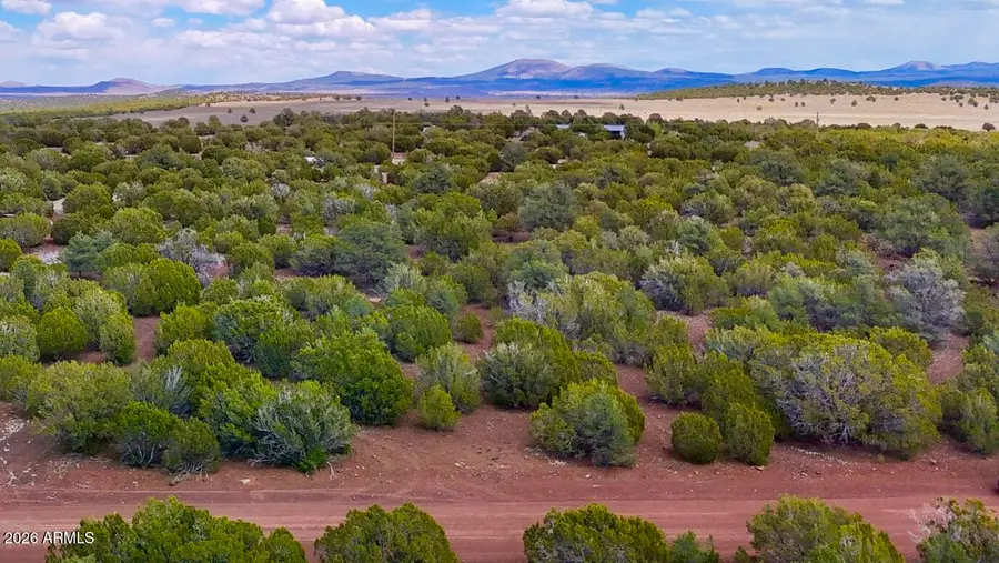 52 County Road 3198 --, Vernon, AZ 85940 - #3