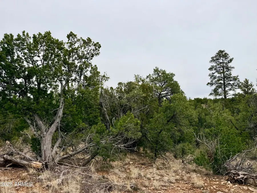 4918 Sunset Ridge Loop #199, Happy Jack, AZ 86024 - #3