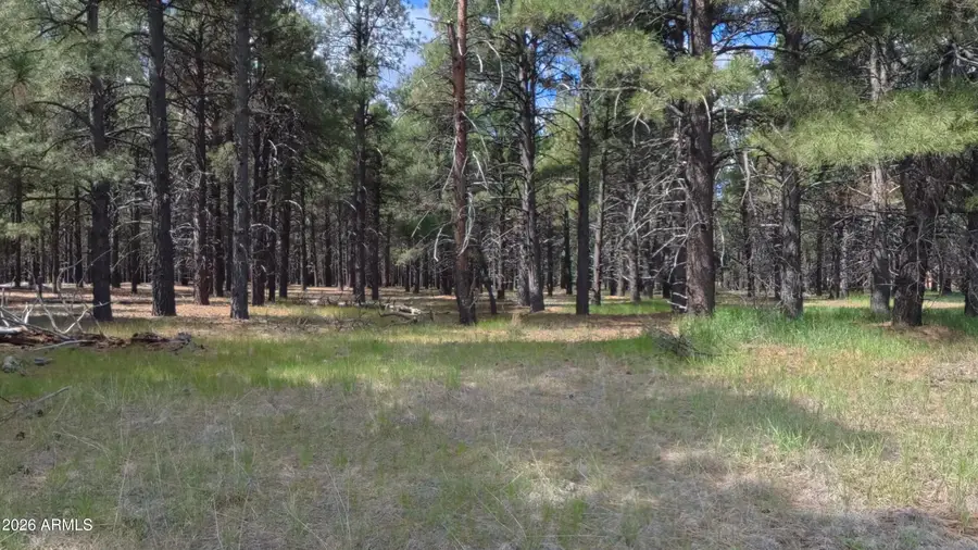 12565 Camp Kimball Road, Parks, AZ 86018 - #2