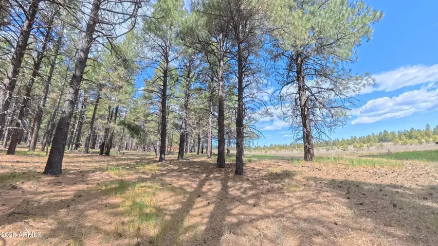 12565 Camp Kimball Road, Parks, AZ 86018 - #3