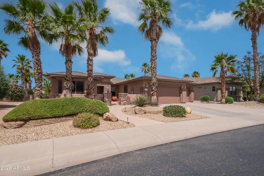 20356 N Denizen Drive, Surprise, AZ 85387 - #2