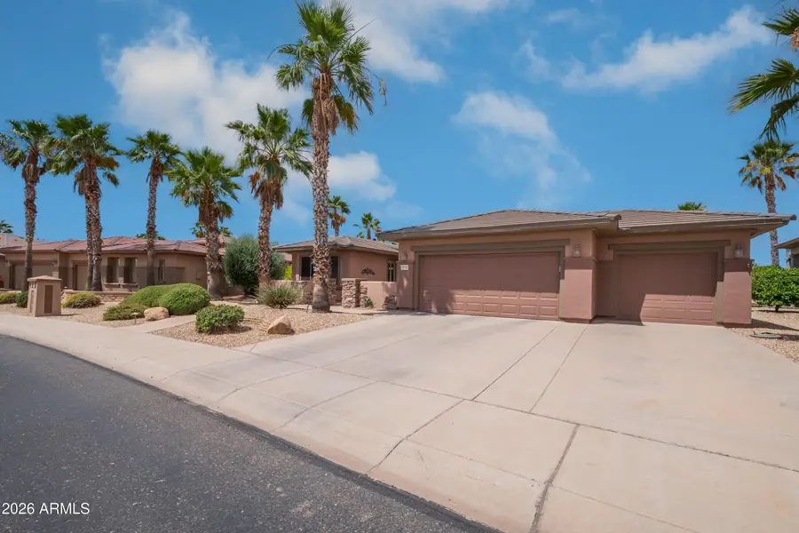 20356 N Denizen Drive, Surprise, AZ 85387 - #3