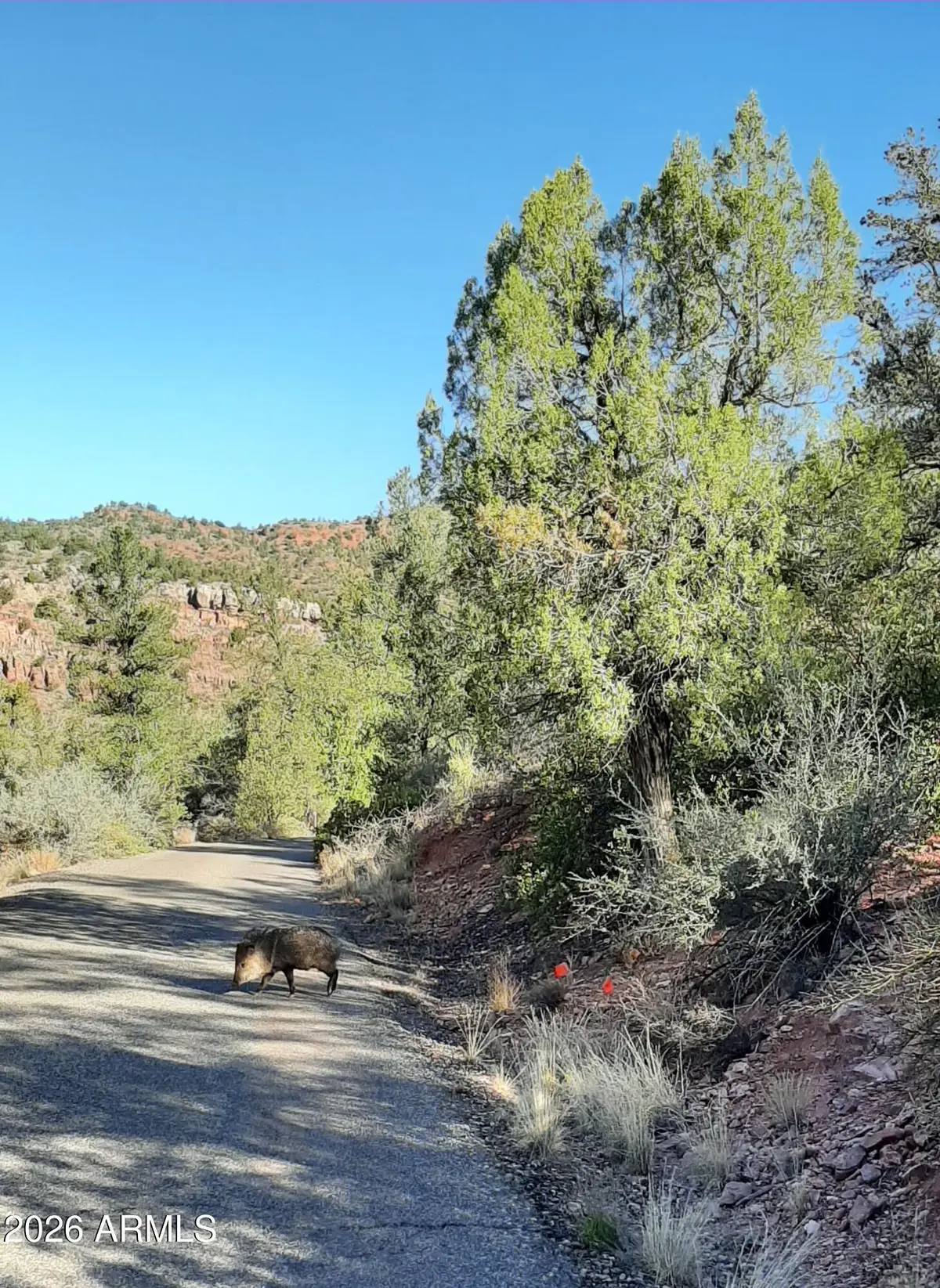 60 Casa La Courta Road #A, Sedona, AZ 86336 - #1