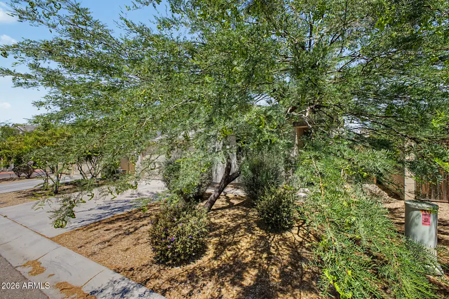 1882 W Road Agent Street, Apache Junction, AZ 85120 - #3