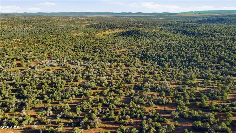 8602 N Ten Tanks Road #157, Ash Fork, AZ 86320 - #3