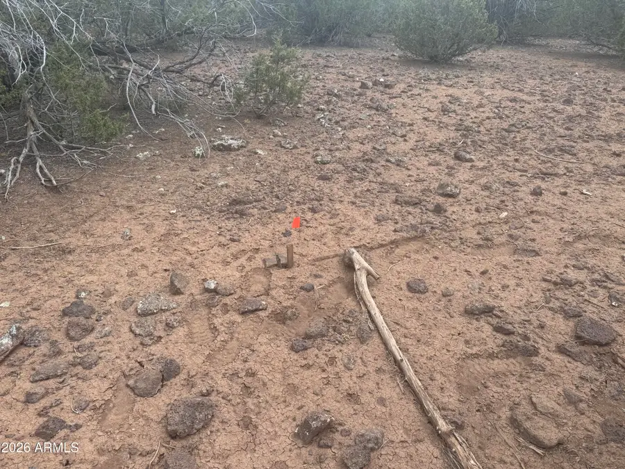 Lot 164 Mesa Redondo -- #164, Concho, AZ 85924 - #3