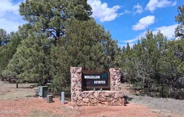 2790 Chandelle Lane #278, Overgaard, AZ 85933