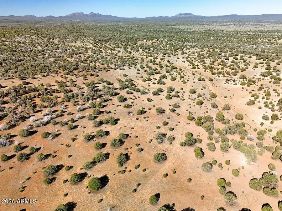 15723 High Tank Road, Williams, AZ 86046 - #3