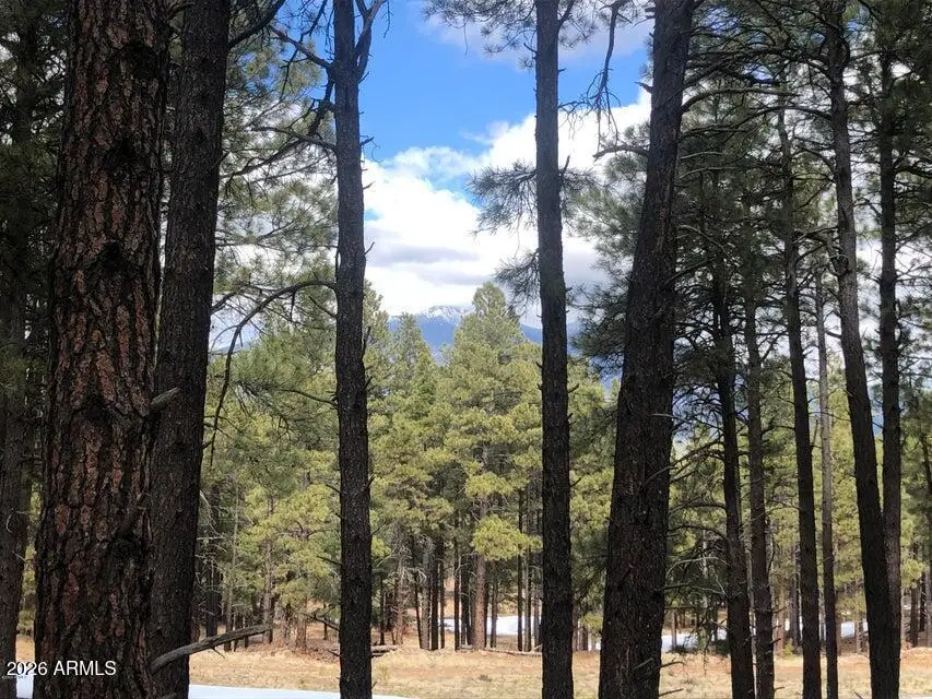 9410 Coyote Pass, Flagstaff, AZ 86001 - #1