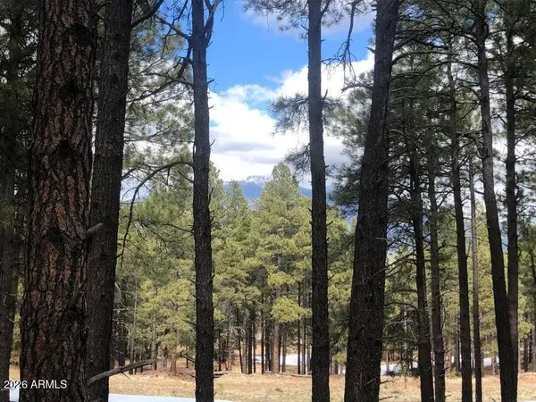 9410 Coyote Pass, Flagstaff, AZ 86001