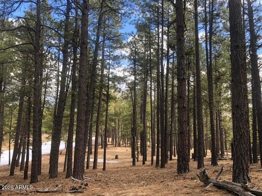 9410 Coyote Pass, Flagstaff, AZ 86001 - #2