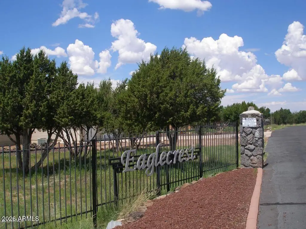 8398 N Lake View Drive #31, Show Low, AZ 85901 - #1