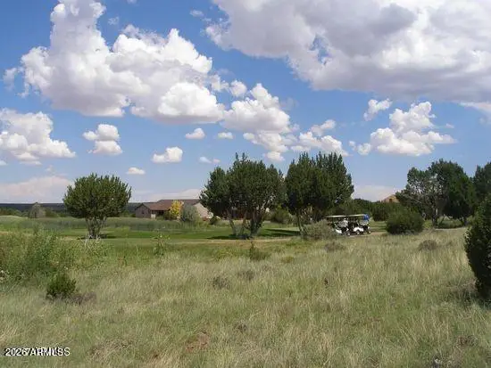 8398 N Lake View Drive #31, Show Low, AZ 85901 - #2
