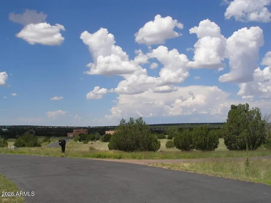 8398 N Lake View Drive #31, Show Low, AZ 85901 - #3