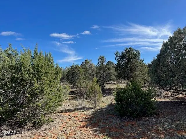 2277 Sunrise Road #361, Overgaard, AZ 85933 - #1