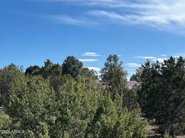 2277 Sunrise Road #361, Overgaard, AZ 85933 - #2