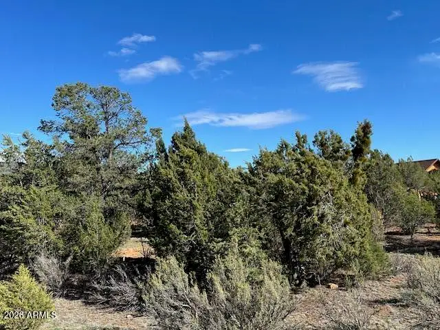 2277 Sunrise Road #361, Overgaard, AZ 85933 - #3