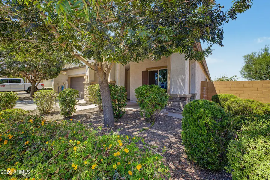 19924 N 260th Drive, Buckeye, AZ 85396 - #3