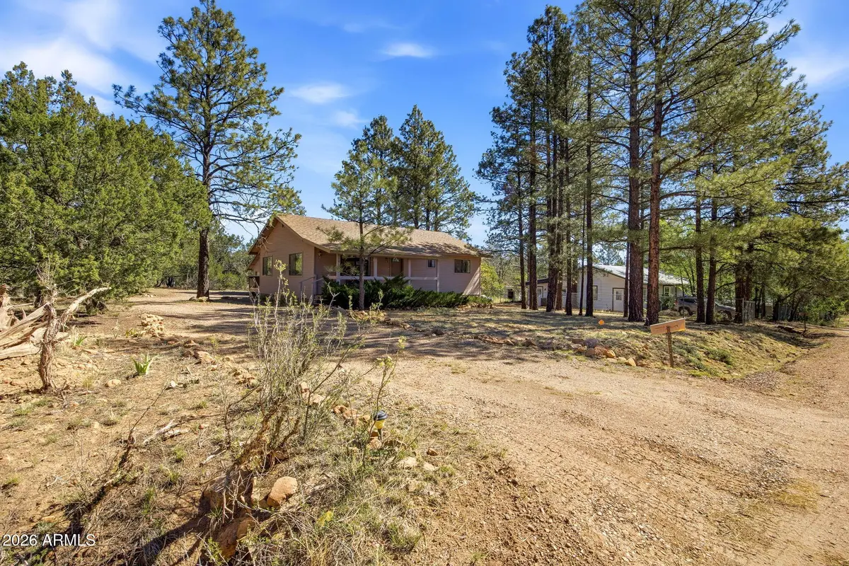 1924 1924 Little Doe Trail, Overgaard, AZ 85933 - #1