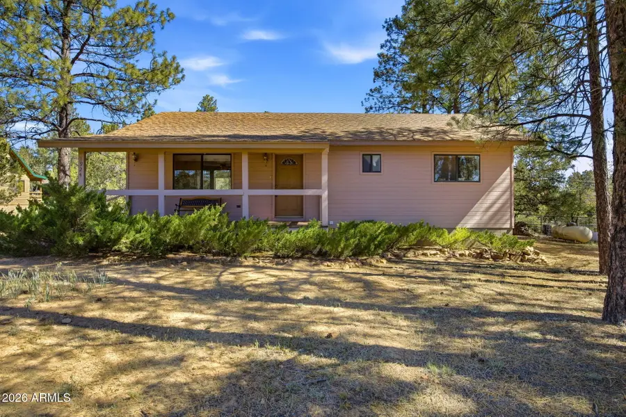 1924 1924 Little Doe Trail, Overgaard, AZ 85933 - #3