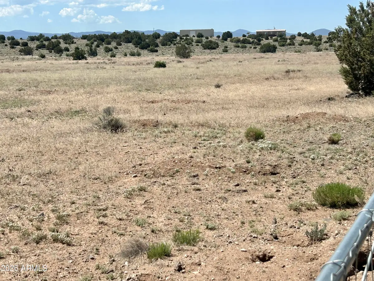 TBD Windsor Valley Ranch Lot 135 -- #135, Concho, AZ 85924 - #1