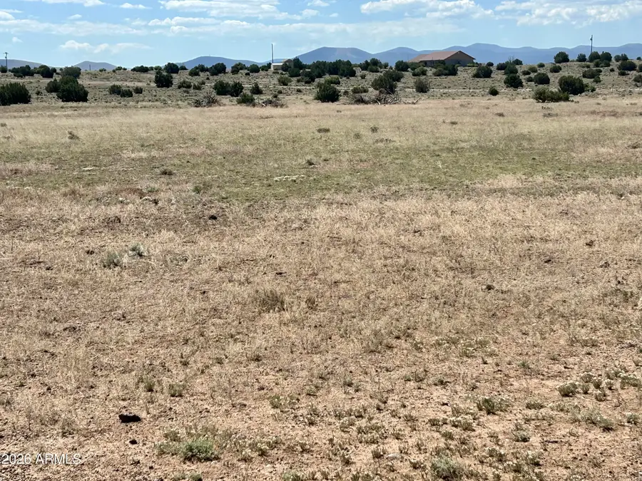 TBD Windsor Valley Ranch Lot 135 -- #135, Concho, AZ 85924 - #2