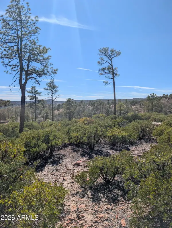 958 Navajo Trail #435, Show Low, AZ 85901