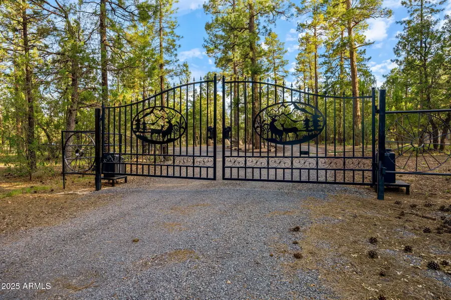 2332 Hall Drive, Lakeside, AZ 85929 - #2