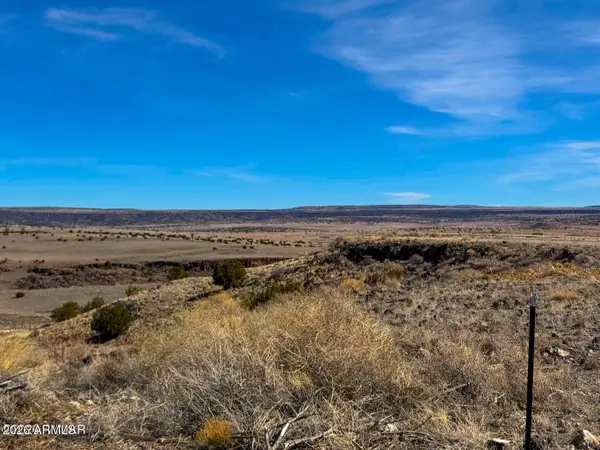 0 Co Rd 4008 (25 Acres) --, St Johns, AZ 85936