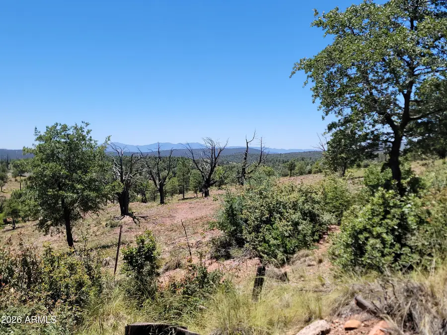 41 & 42 Antelope Trail #41 & 42, Payson, AZ 85541 - #3