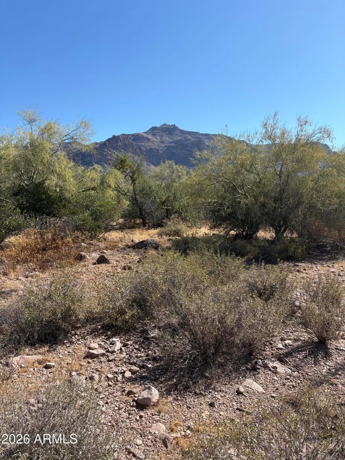 10890 E Cactus View Circle #9, Gold Canyon, AZ 85118 - #1