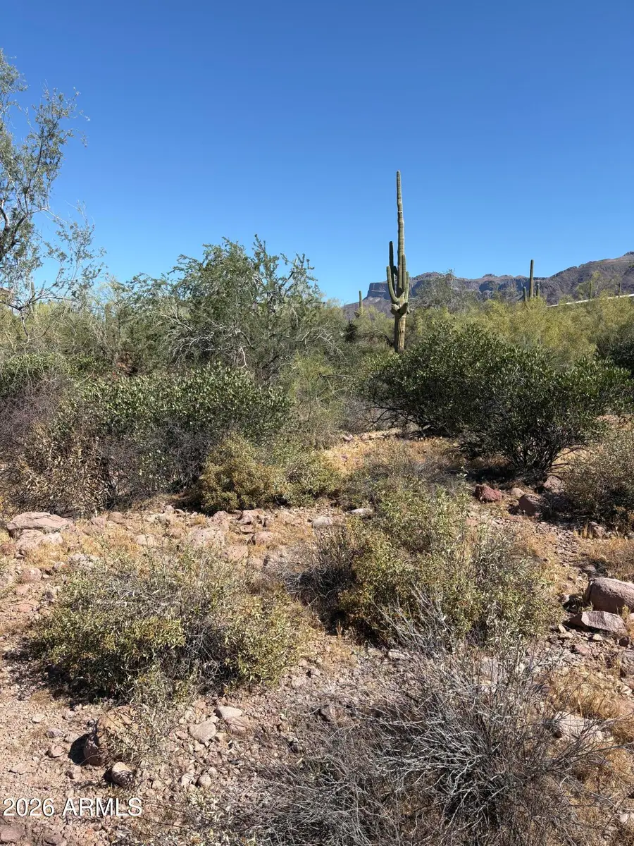 10890 E Cactus View Circle #9, Gold Canyon, AZ 85118 - #3