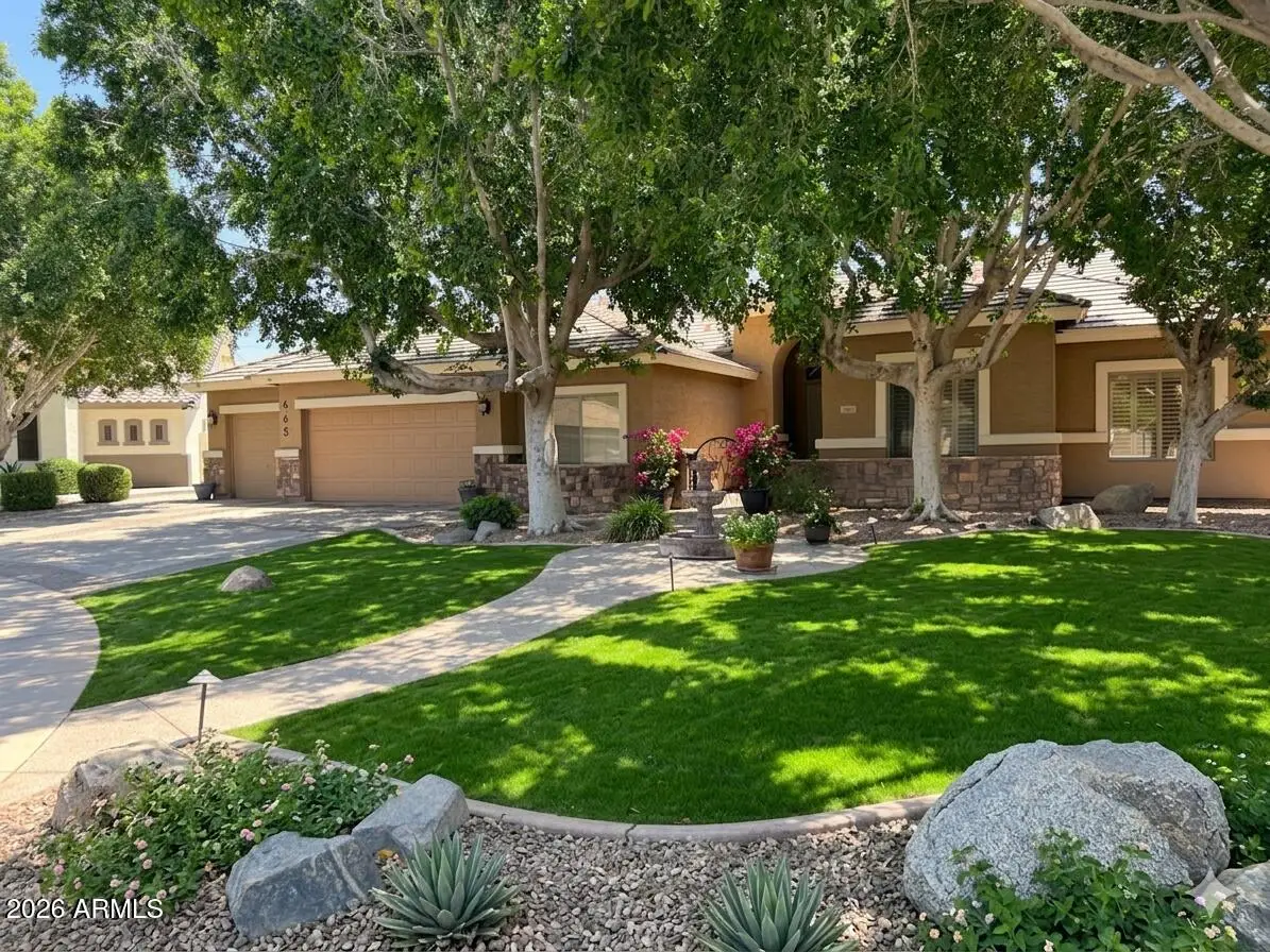 665 E Constitution Drive, Gilbert, AZ 85296 - #1