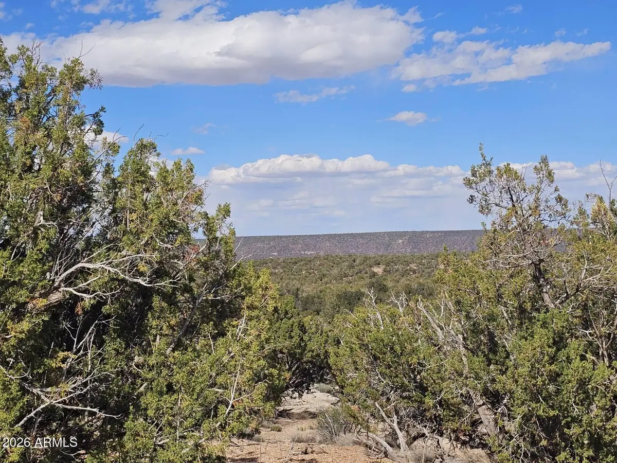 3945 Valley Road #749, Snowflake, AZ 85937 - #1