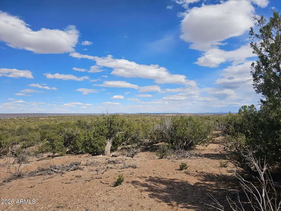 3945 Valley Road #749, Snowflake, AZ 85937 - #3