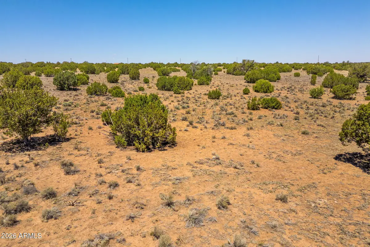 TBD County Road 8643 -- #188, Concho, AZ 85924 - #1