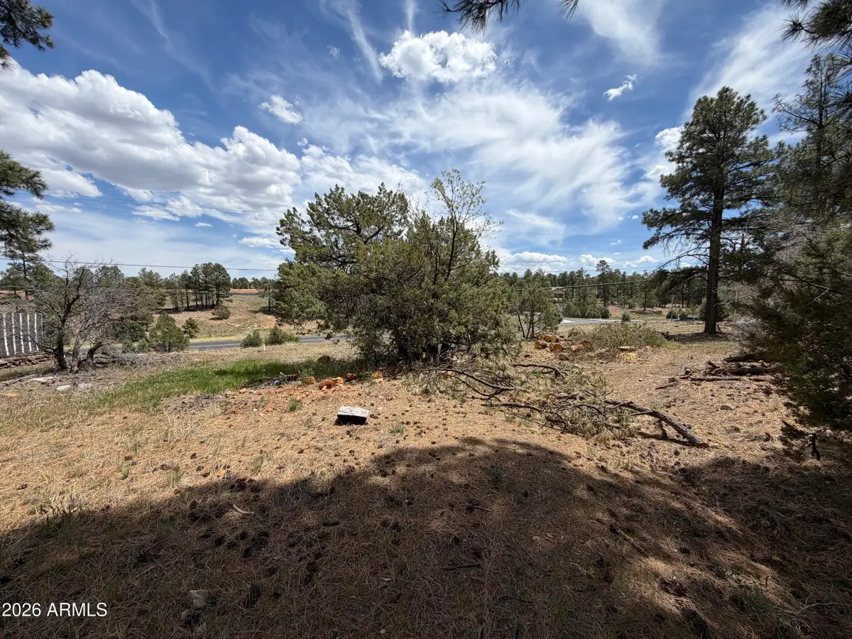11 W Oliver -- #1, Show Low, AZ 85901 - #1