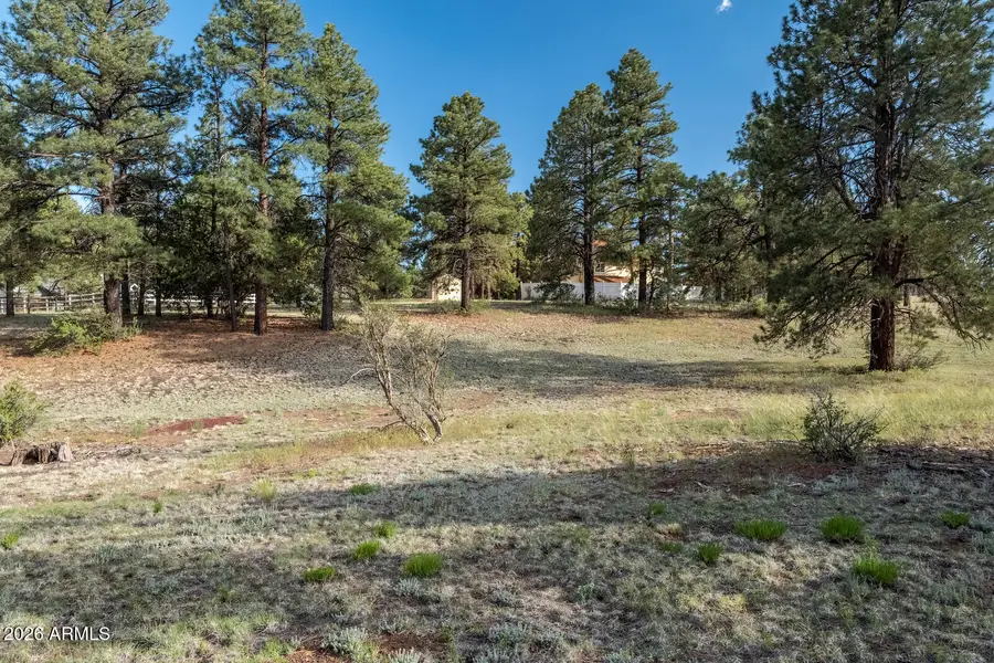 8550 N Pleasant Valley Way, Flagstaff, AZ 86004 - #2