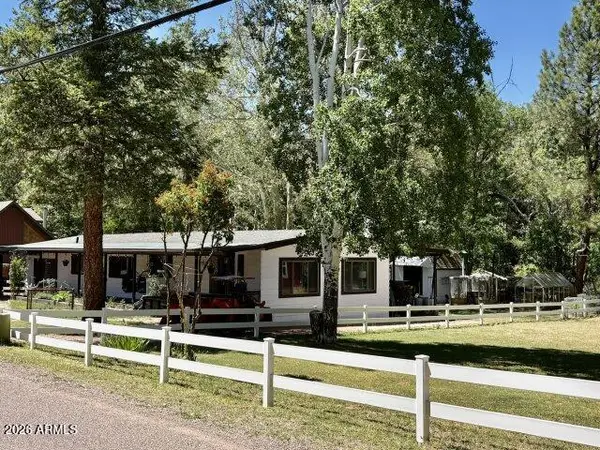 8206 W Parkinson Drive, Strawberry, AZ 85544