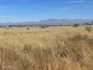 TBD Windsong -- #13, Pearce, AZ 85625 - #3