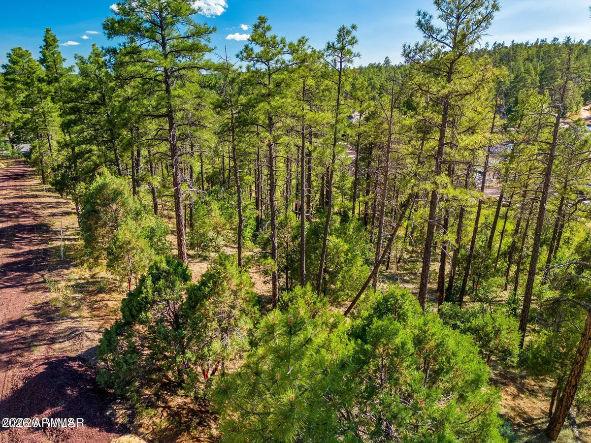 TBD E Ellsworth -- #3, Show Low, AZ 85901 - #1