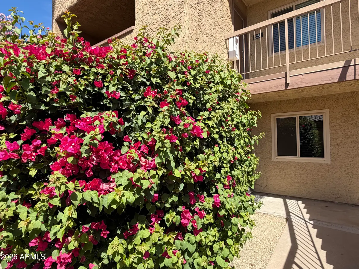 5877 N Granite Reef Road #1151, Scottsdale, AZ 85250 - #1