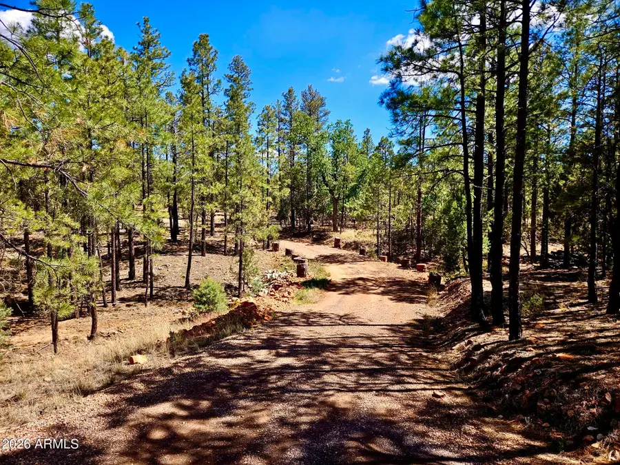 2060 Gilbert Lane, Overgaard, AZ 85933 - #3