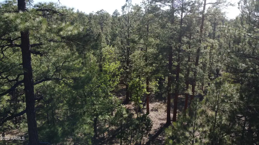 3212 Apache Drive #589, Happy Jack, AZ 86024 - #2