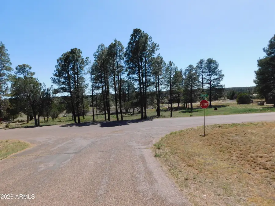 2215 Country Club Drive #12, Overgaard, AZ 85933 - #2