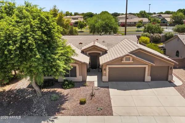 143 N Joshua Tree Lane, Gilbert, AZ 85234