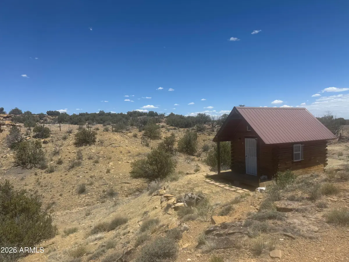 Lot 679 Woodland Valley Ranch -- #679, Saint Johns, AZ 85936 - #1