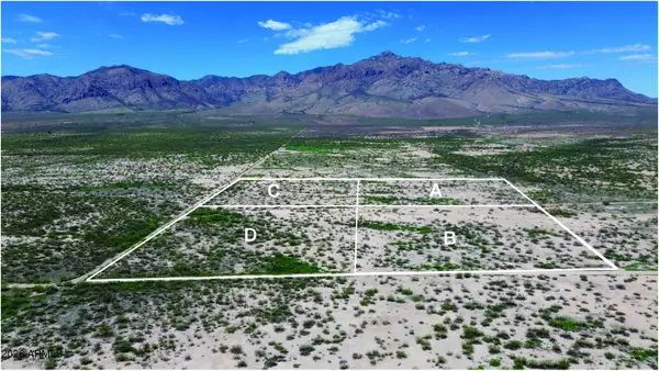 10.8 AC Hannah Lane #B, Portal, AZ 85632