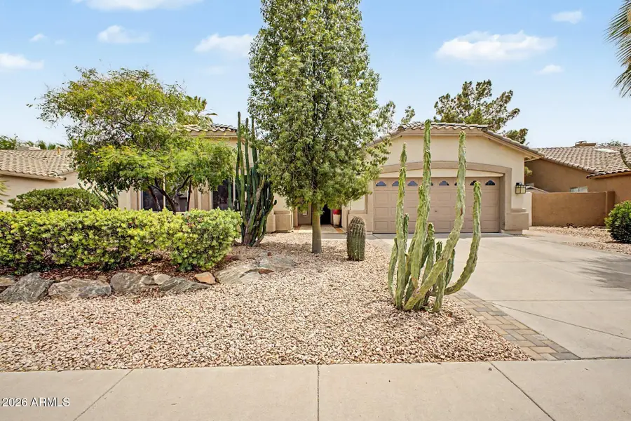 875 W Beechnut Drive, Chandler, AZ 85248 - #2